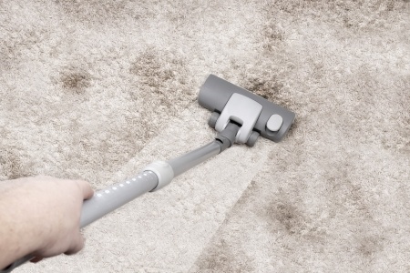 Cleaning a Carpet