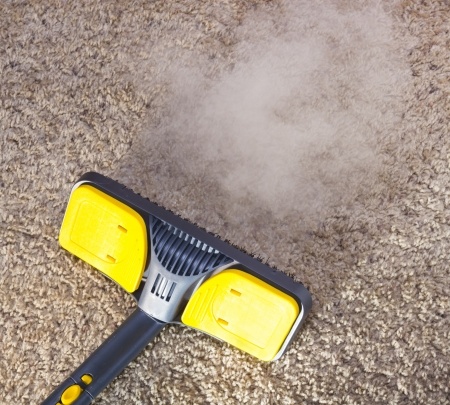 Carpet Steamer