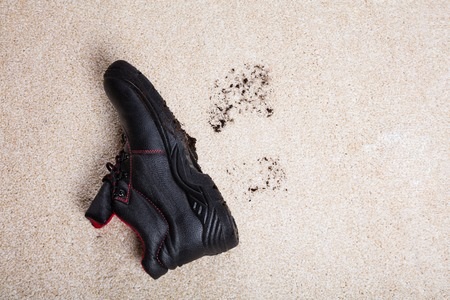 Muddy shoe on Carpet