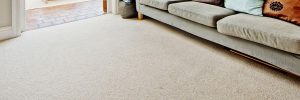 Living Room Carpeting