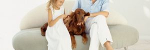 flooring options for pet owners