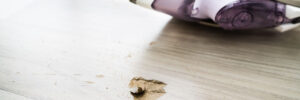Damage on a floor due to an iron being dropped