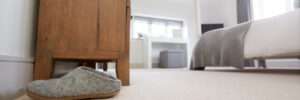 Neatly decorated bedroom with carpeting