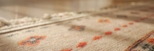 A patterned rug rests on the flooring beside a mirror.