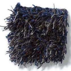 Tuftex swag Carpet Sample